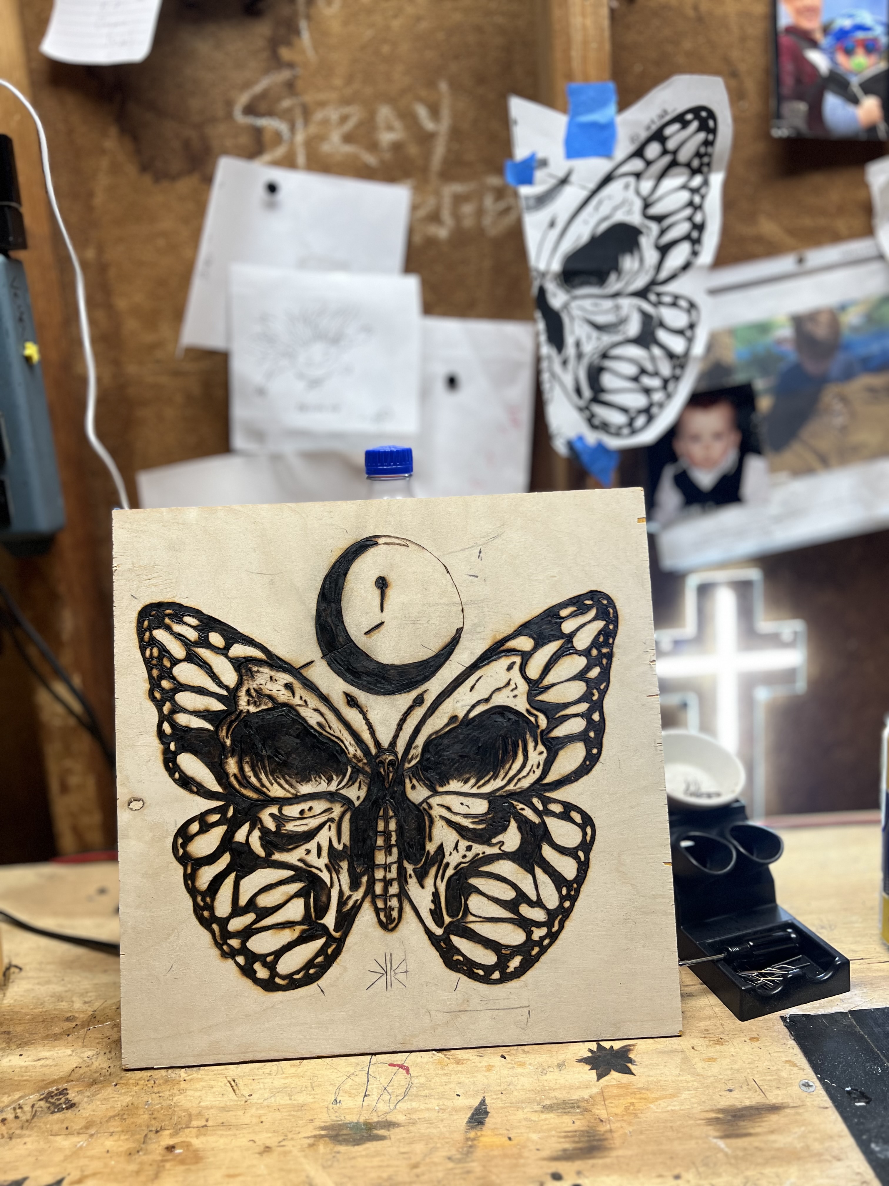 moth