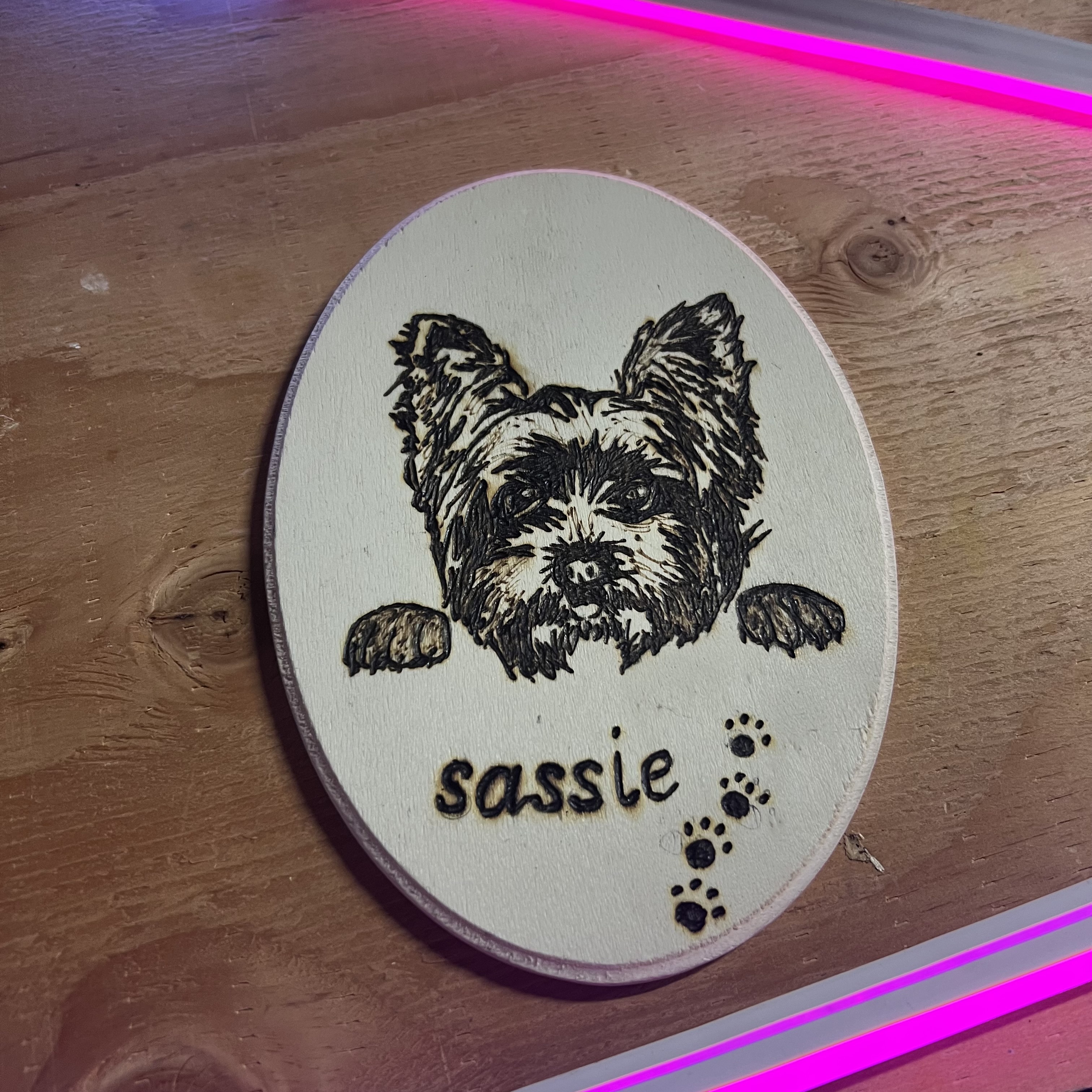 Sassie portrait woodburning